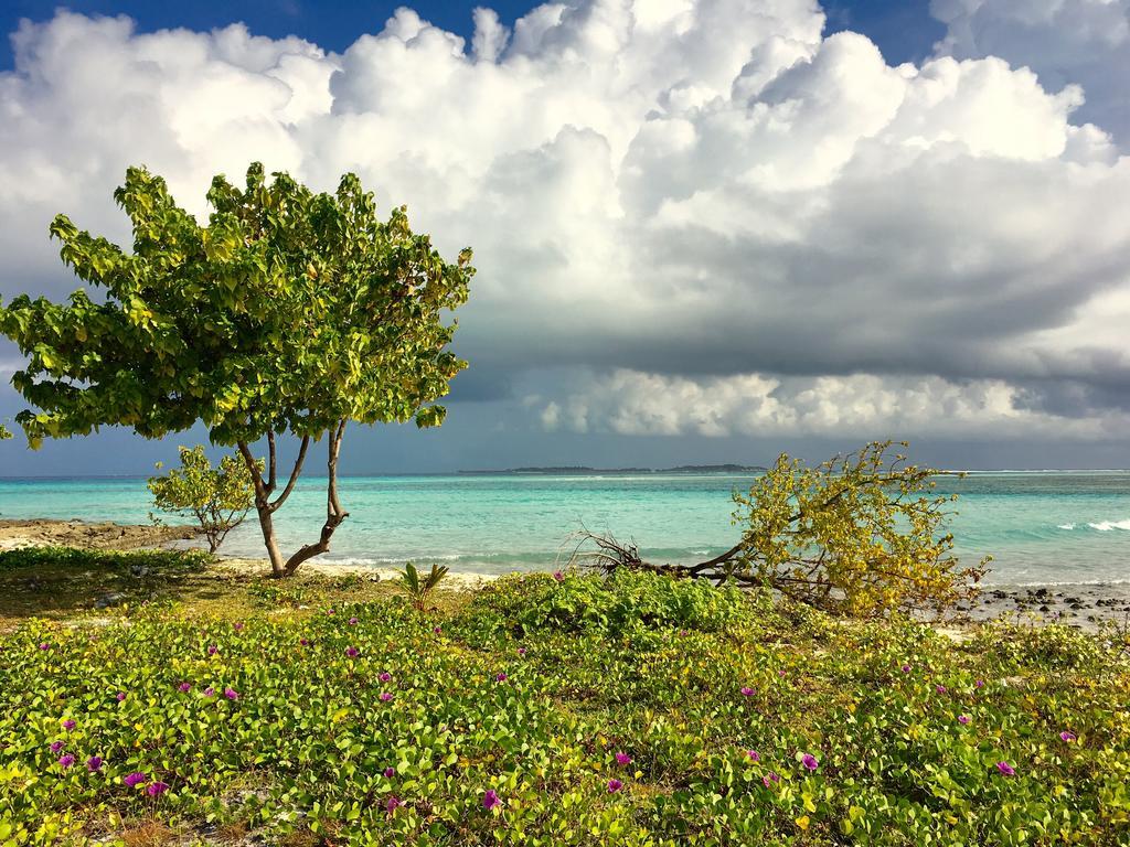 Faza View Inn, Maafushi Exterior foto